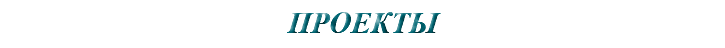 &nbsp;ПРОЕКТЫ