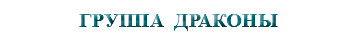 &nbsp;ГРУППА ДРАКОНЫ