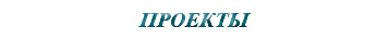 &nbsp;ПРОЕКТЫ